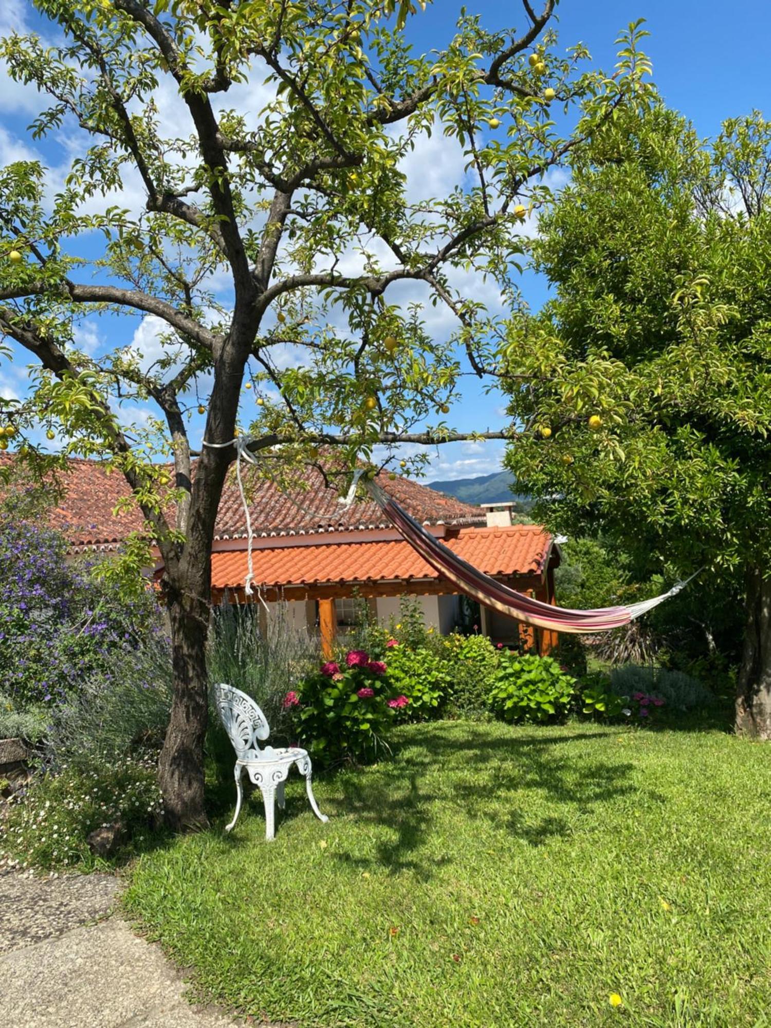 Ferienhaus Turra Nature House *